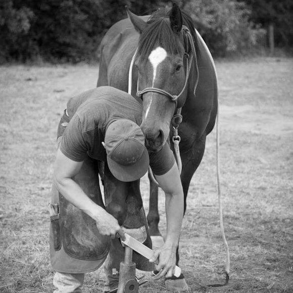 Meet your Posher, Sean - Picture 1 of 1